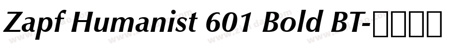 Zapf Humanist 601 Bold BT字体转换